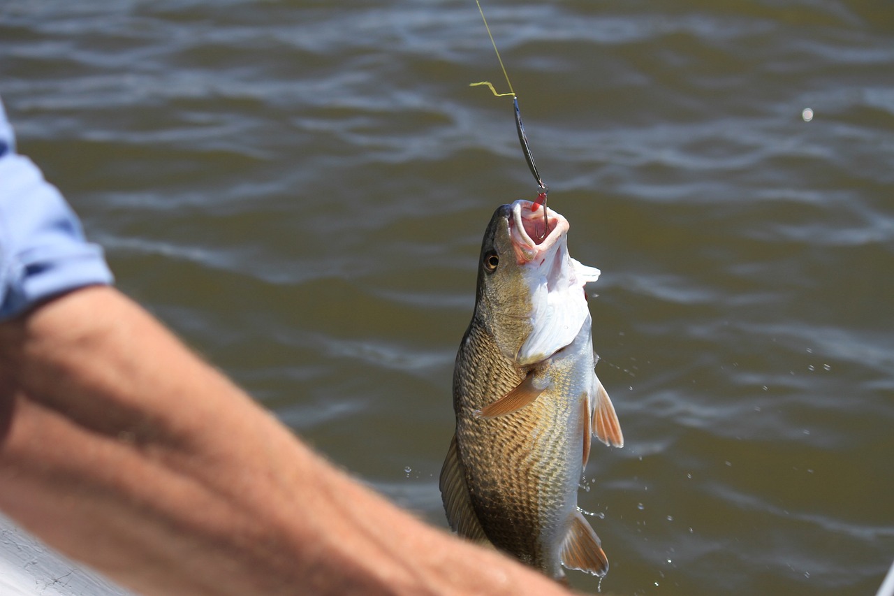 Spring Fishing
